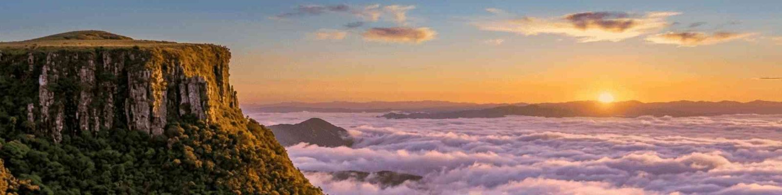 vinícolas e maçãs em são joaquim